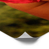 Poster champ de rêves ! (Coin)