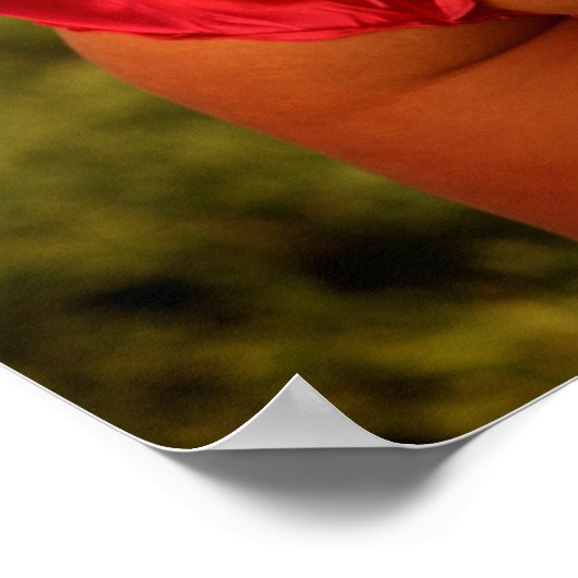 Poster champ de rêves ! (Coin)