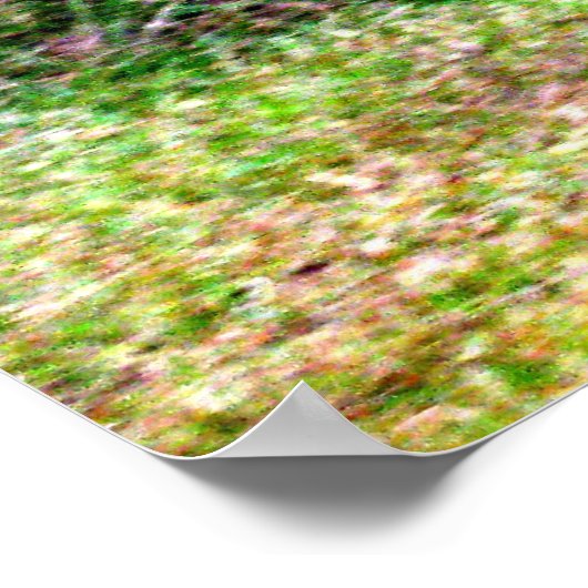 POSTER CHAMP DE RÊVES BRISÉS (Coin)