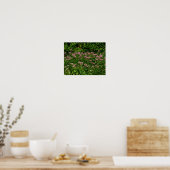 Poster Champ De Sweet Joe Pye Fleurs De Mauvaises Herbes (Cuisine)