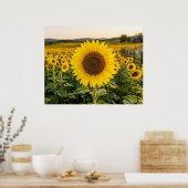 Poster Champ de tournesols (Cuisine)