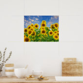 Poster Champ de tournesols (Cuisine)