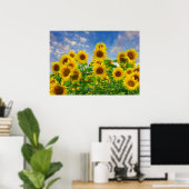 Poster Champ de tournesols, belles fleurs, (Bureau à domicile)