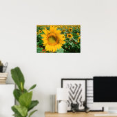 Poster Champ de tournesols. District de Heidleberg (Bureau à domicile)