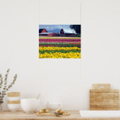 Poster Champ de tulipes (Cuisine)