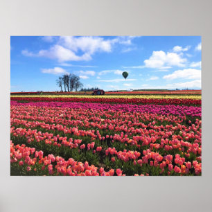 Poster Champ de tulipes magnifiques avec montgolfière, Or