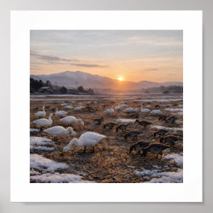 Poster Champ d'hiver doré avec cygnes et oies – 