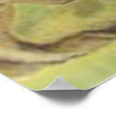 Poster Champ d'oeufs peints couleur lapin de Pâques (Coin)