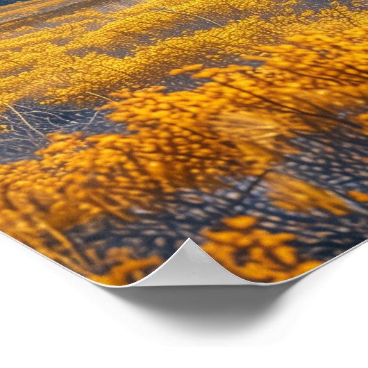 Poster Champ doré (Coin)