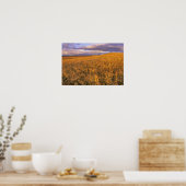 Poster Champ d'orge en maturation le long des montagnes R (Cuisine)