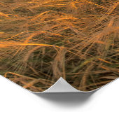 Poster Champ d'orge en maturation le long des montagnes R (Coin)