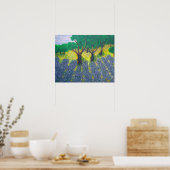 Poster Champ Lavender (Cuisine)
