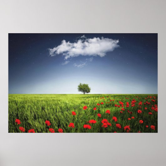 Poster Champ Nature Poppies (Devant)