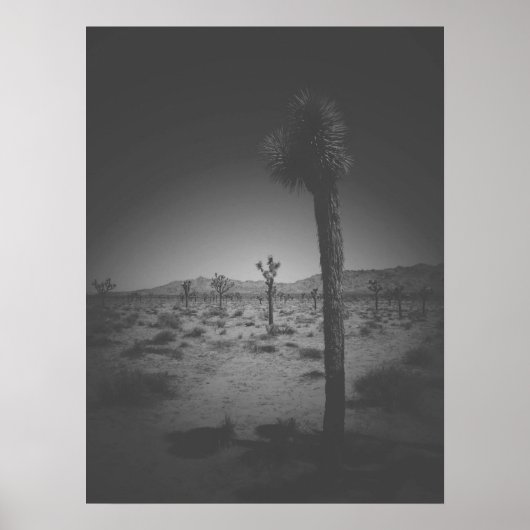 Poster Champ noir et blanc cinématique des Joshua Trees (Devant)