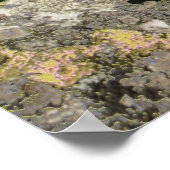 Poster Champ rocheux (Coin)