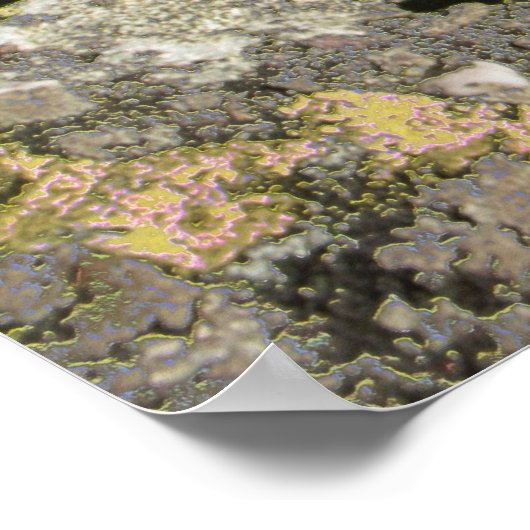 Poster Champ rocheux (Coin)