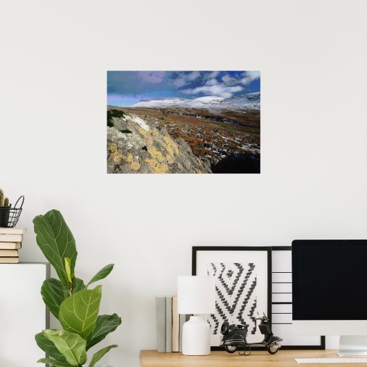 Poster Champ rocheux (Bureau à domicile)