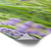 Poster Champ Serene Lavender (Coin)