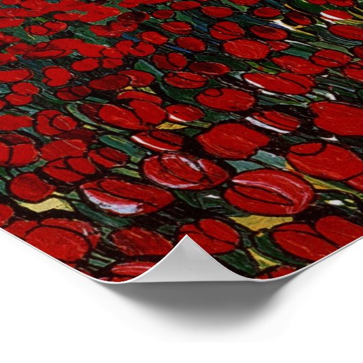 Poster Champ Tulip (Coin)