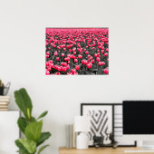 Poster Champ Tulipes roses (Bureau à domicile)