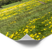 Poster Champ vert avec alpes neigeuses (Coin)