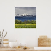 Poster Champ vert avec alpes neigeuses (Cuisine)