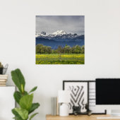 Poster Champ vert avec alpes neigeuses (Bureau à domicile)
