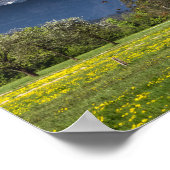 Poster Champ vert avec des Alpes enneigées (Coin)
