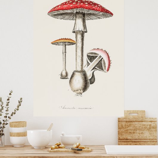 Poster Champagne (Cuisine)
