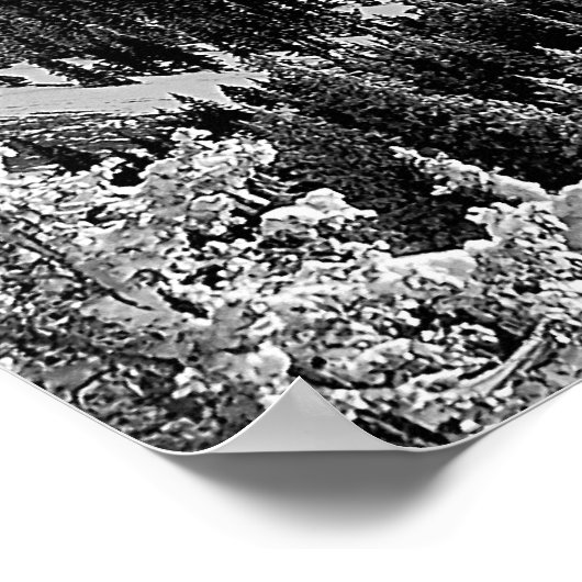 Poster Champagne Snowscape (Coin)