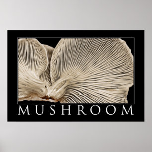Poster Champignon 2