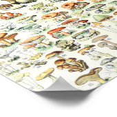Poster Champignon Adolphe Millot B (Coin)