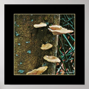 Poster Champignon d'arbre