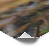 Poster Champignon de mouches (Coin)