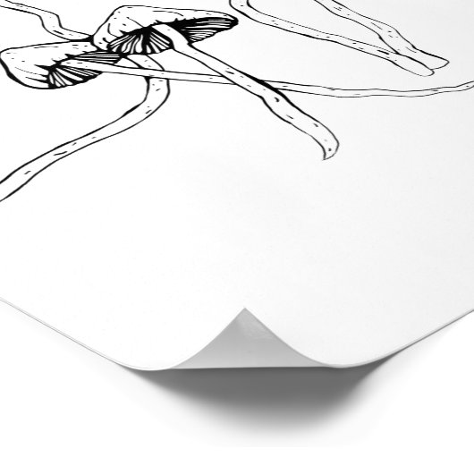 Poster Champignon de Psilocybin (Coin)