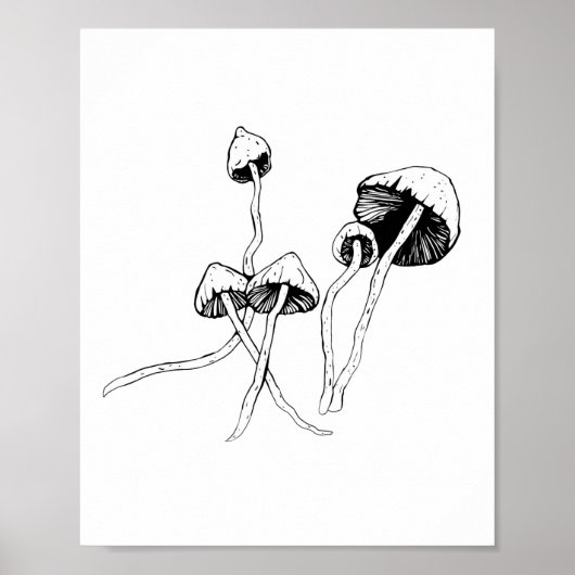 Poster Champignon de Psilocybin (Devant)