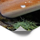 Poster Champignon en console (Coin)