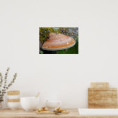 Poster Champignon en console (Cuisine)