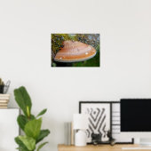 Poster Champignon en console (Bureau à domicile)