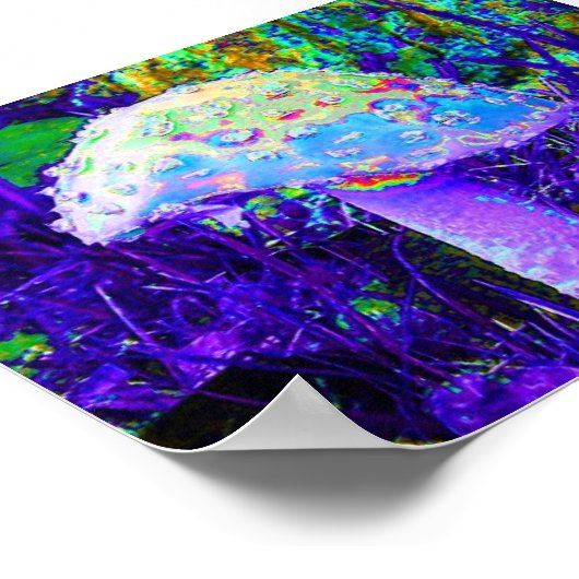 Poster champignon psychédélique (Coin)
