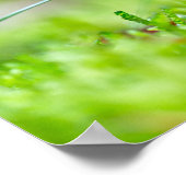 Poster Champignon rouge tabouret automne fin de l'été pho (Coin)