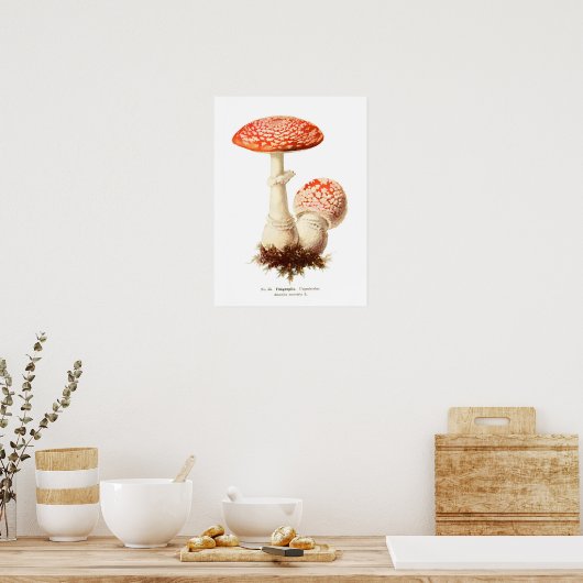 Poster Champignons (Cuisine)