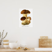 Poster Champignons (Cuisine)