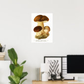 Poster Champignons (Bureau à domicile)