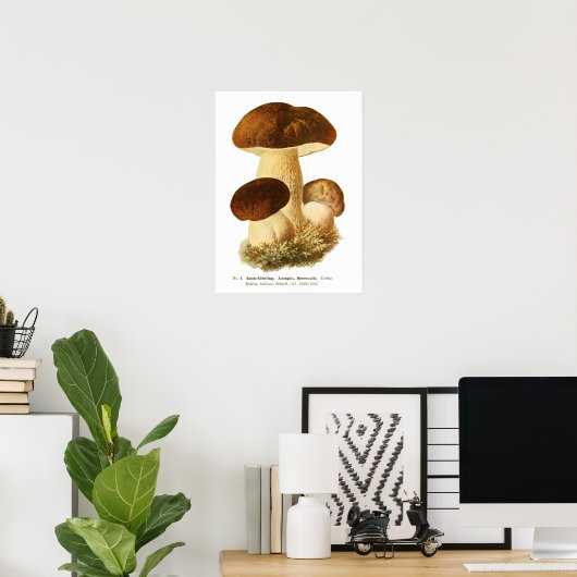 Poster Champignons (Bureau à domicile)