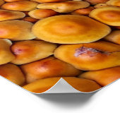 Poster Champignons (Coin)