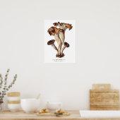 Poster Champignons (Cuisine)