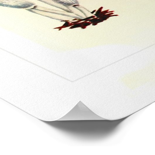 Poster Champignons (Coin)