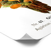 Poster Champignons (Coin)