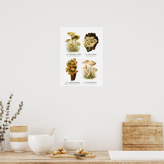Poster Champignons (Cuisine)